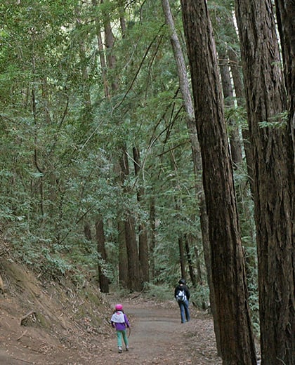 Top 101+ Images wunderlich county park, san mateo county, san mateo county , ca, us Excellent
